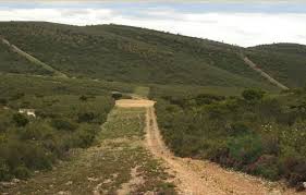 Finca de Caza en Ciudad Real