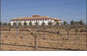 Bodega de capricho