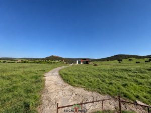 Finca ganadera de 56.347 m² en Fontanarejo, entorno de Cabañeros