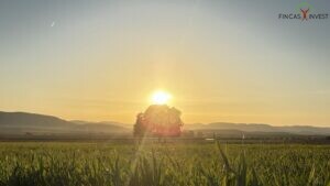 Finca de Caza en la provincia de Ciudad Real
